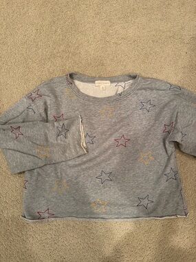 Honey Punch Gray Sweatshirt with Embroidered Stars